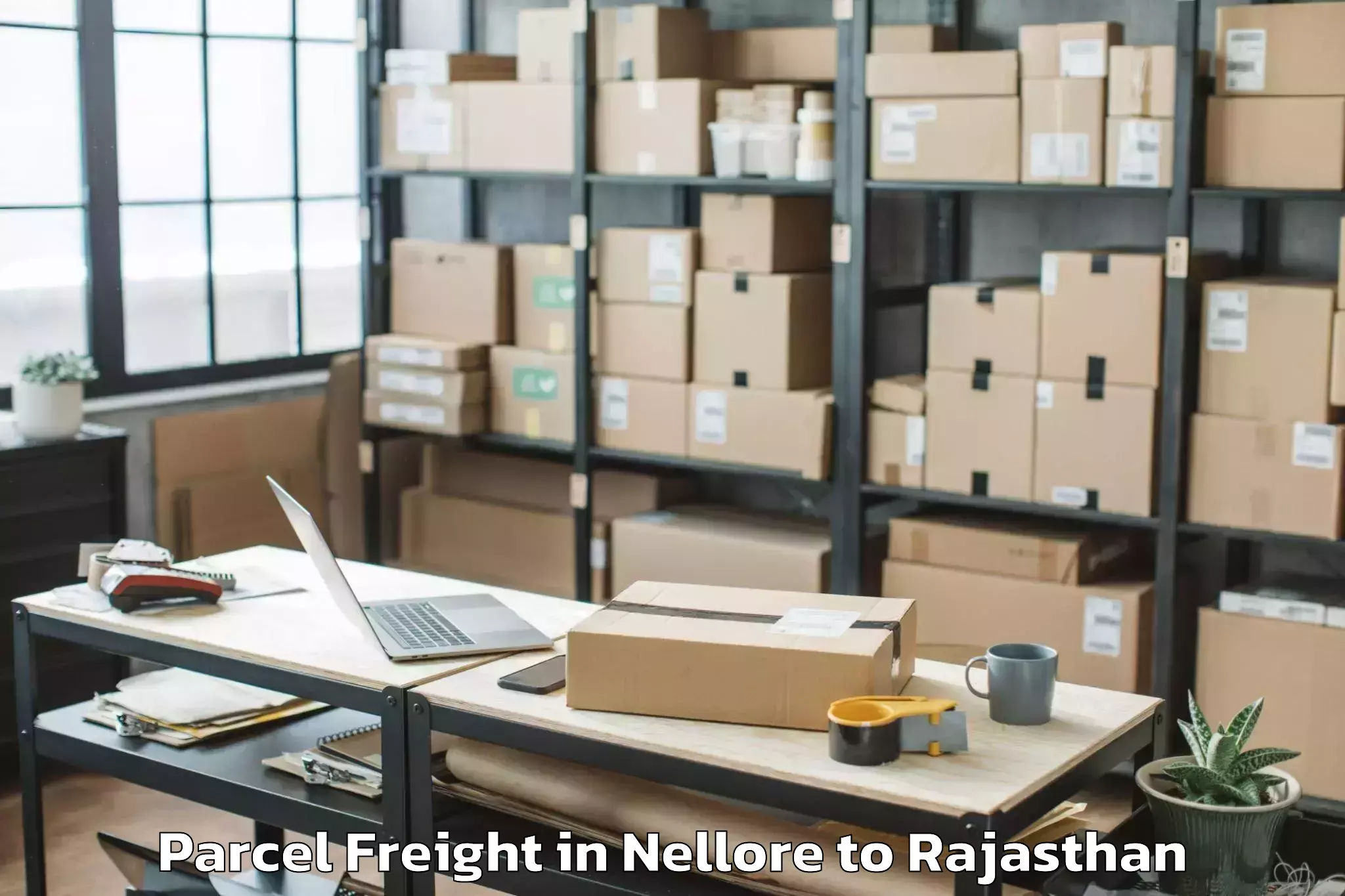 Affordable Nellore to Lachhmangarh Sikar Parcel Freight